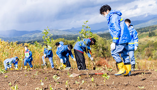 Workers planting trees in the HEPCO & North Forest College Co-Creation Forest