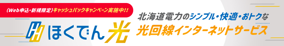 北海道電力のシンプル・快適・おトクな光回線インターネットサービスほくでん光