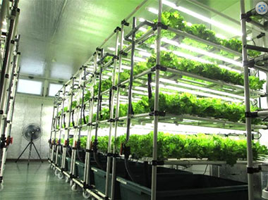 LEAFRU FARM 倶知安ニセコ