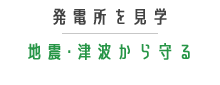 地震・津波から守る